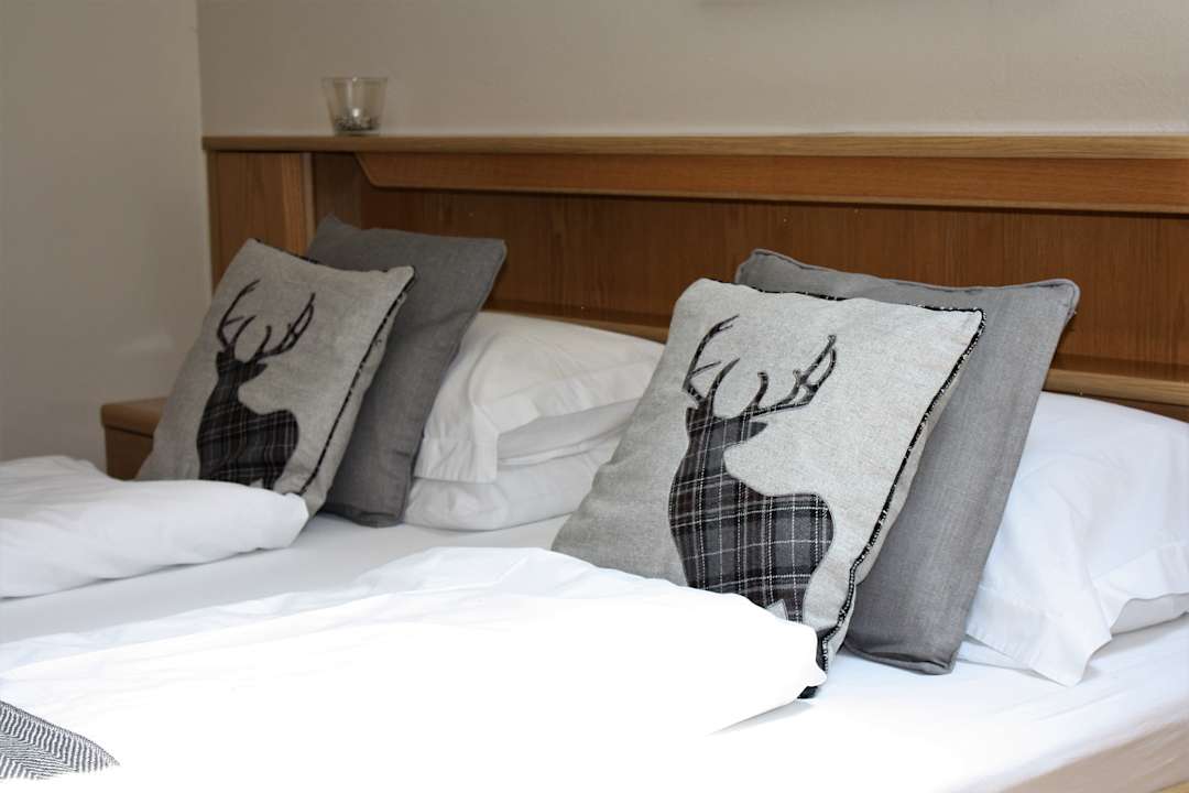 Zimmer Apartment Sommerfelder