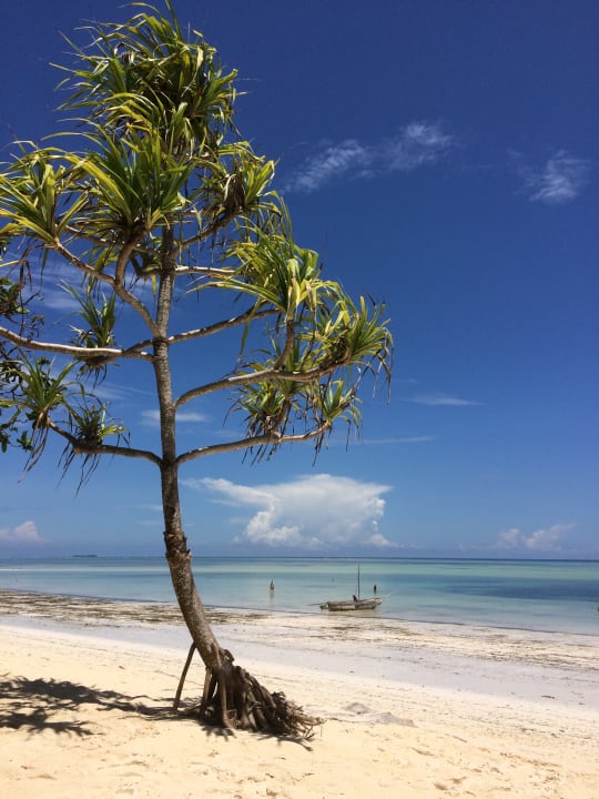 Strand Neptune Pwani Beach Resort & Spa