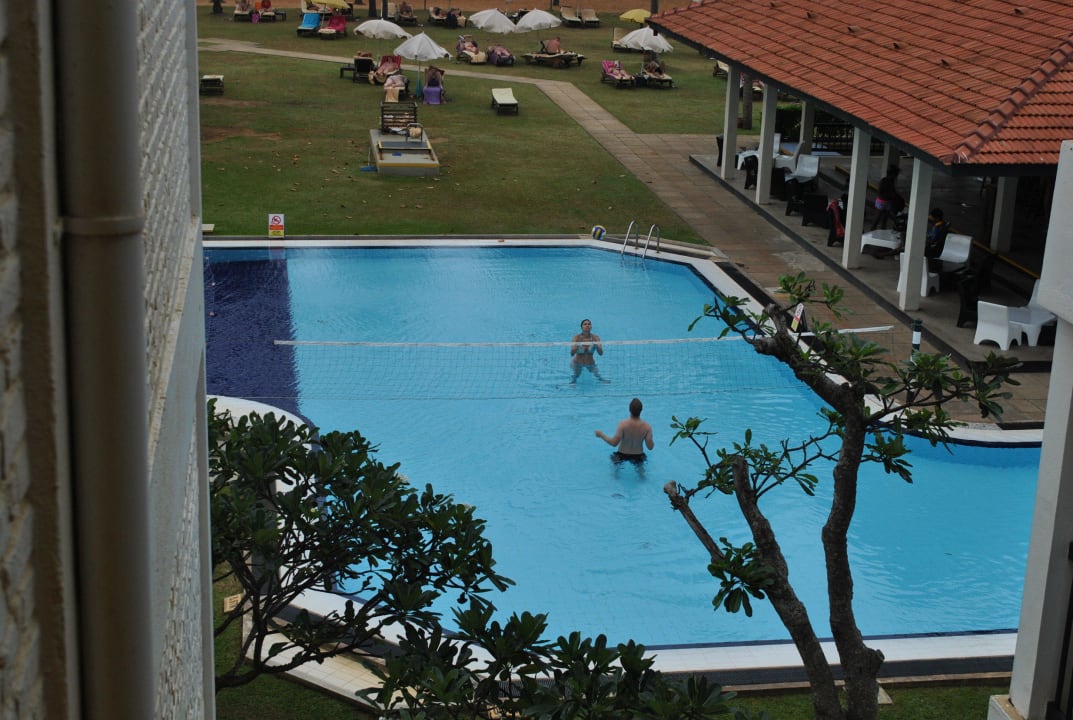 Pool Club Hotel Dolphin