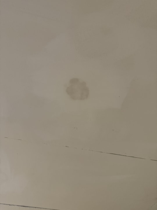 Zimmer The Stones Hotel - Autograph Collection by Marriott