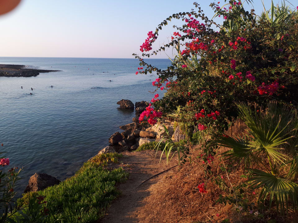 Ausblick Crystal Springs Beach Hotel