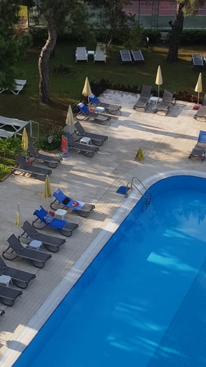 Pool Asteria Collection Side