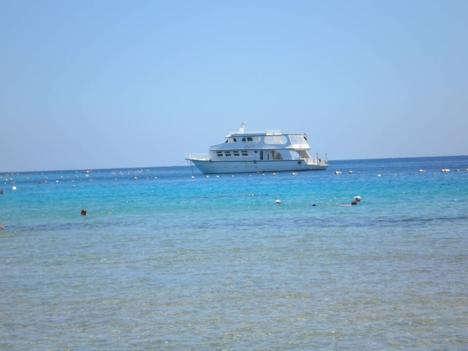 Die ,GEISSENS# in der Makadi Bay Fort Arabesque Resort, Spa & Villas