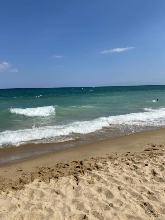 Strand GRIFID Vistamar