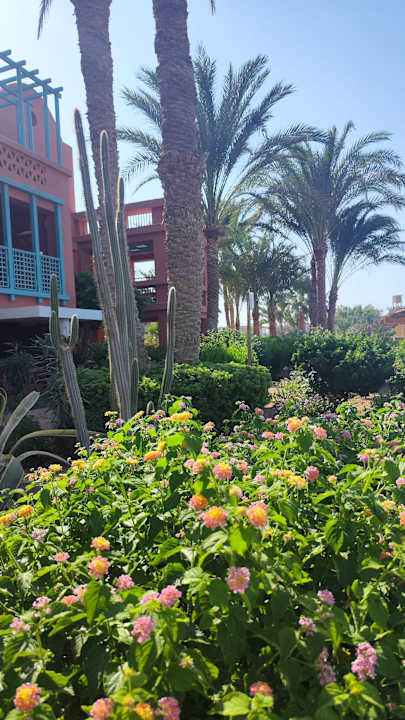 Gartenanlage Sheraton Miramar Resort El Gouna