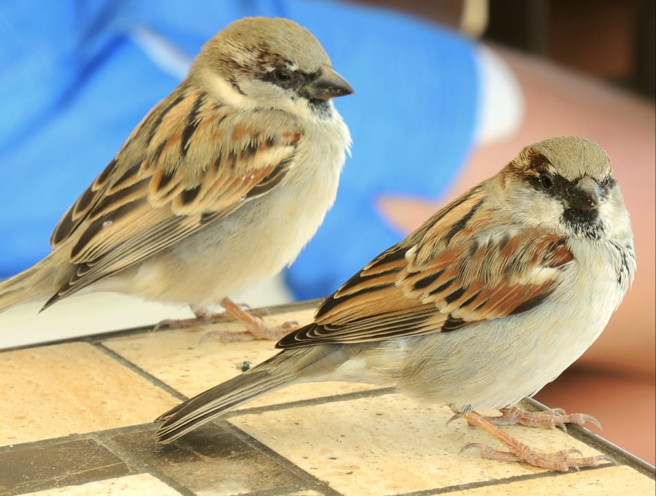 Sonstiges Steigenberger Aqua Magic