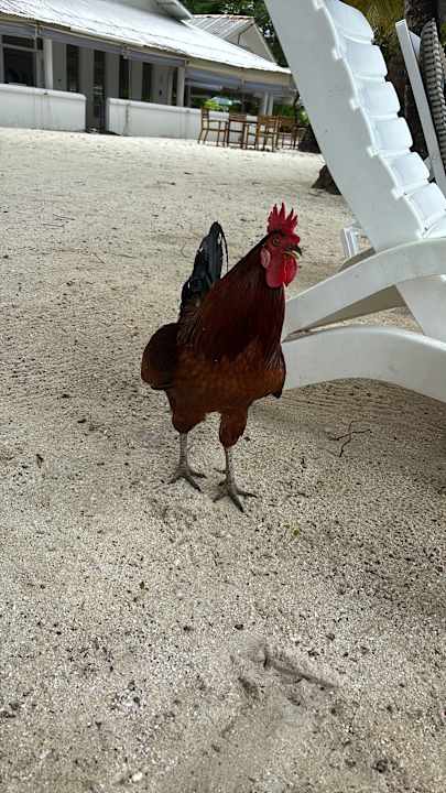 Strand Equator Village Resort