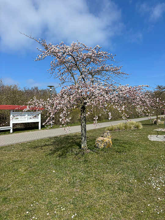 Sonstiges BEECH Resort Boltenhagen
