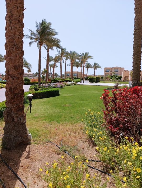 Garten Cleopatra Luxury Resort Makadi Bay