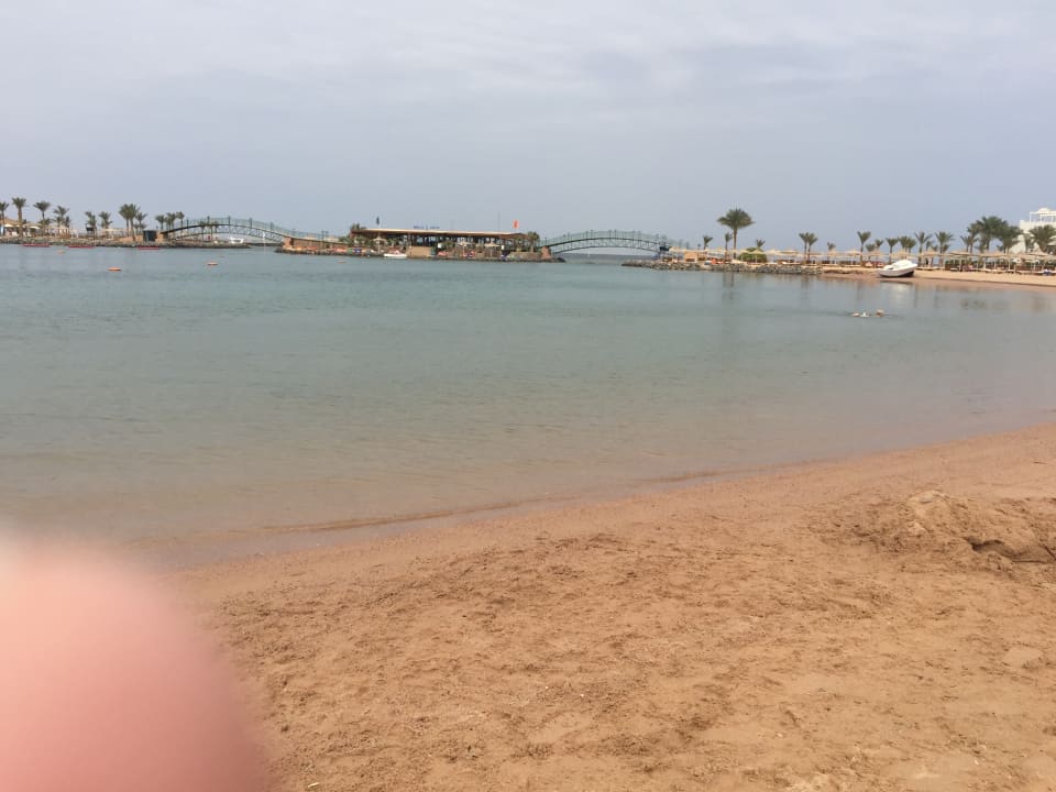 Außenansicht Desert Rose