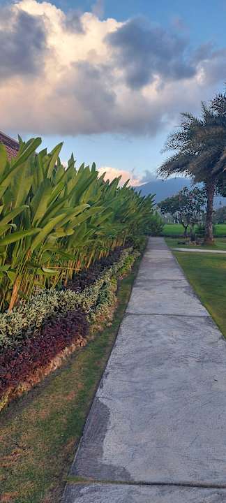 Gartenanlage Lovina Beach Club & Resort