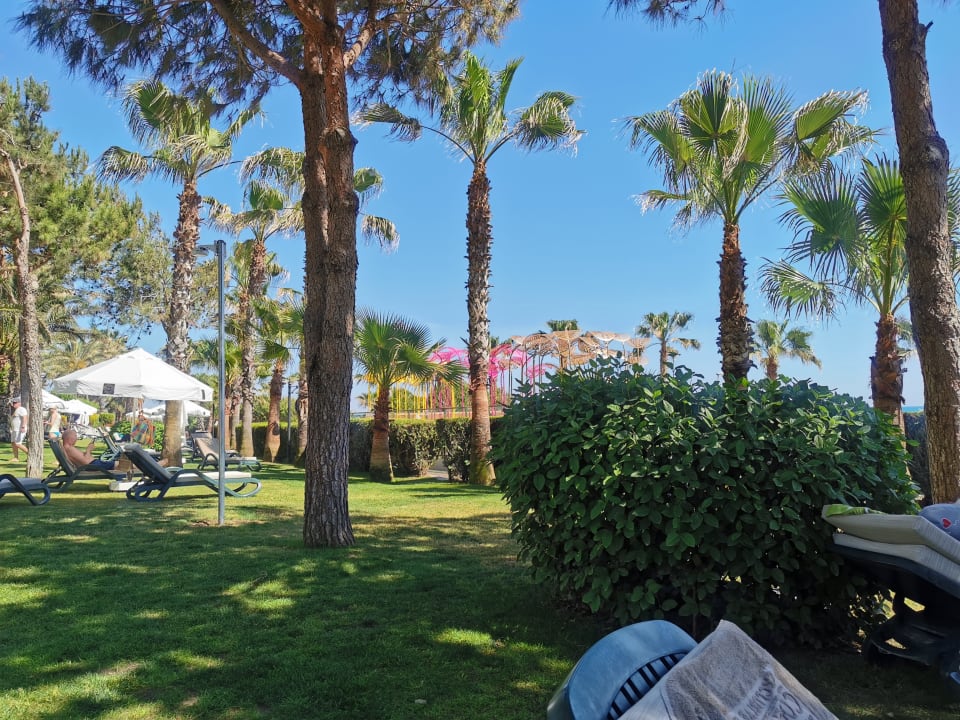Gartenanlage Kamelya Collection Selin Hotel