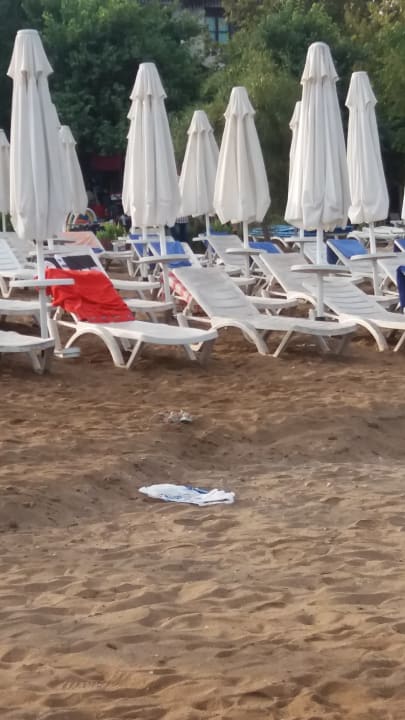 Strand Can Garden Beach