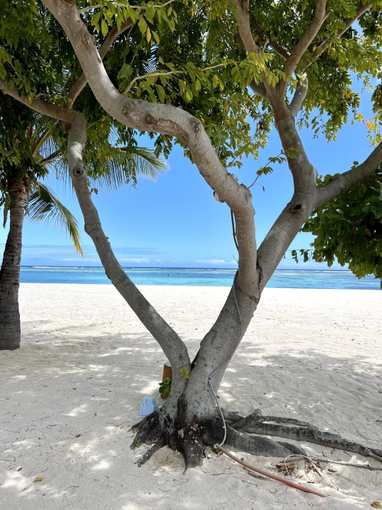 Strand The St. Regis Le Morne Resort, Mauritius