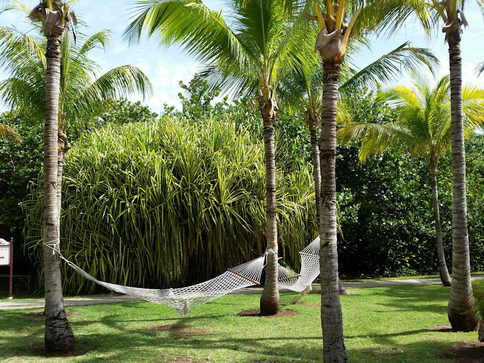 Gartenanlage Melia Las Antillas - Adults only