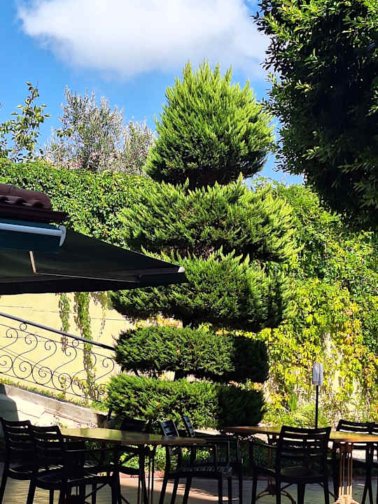 Außenansicht Hotel Gardenia Beach