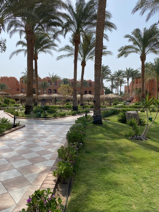 Gartenanlage Jaz Makadi Oasis Resort