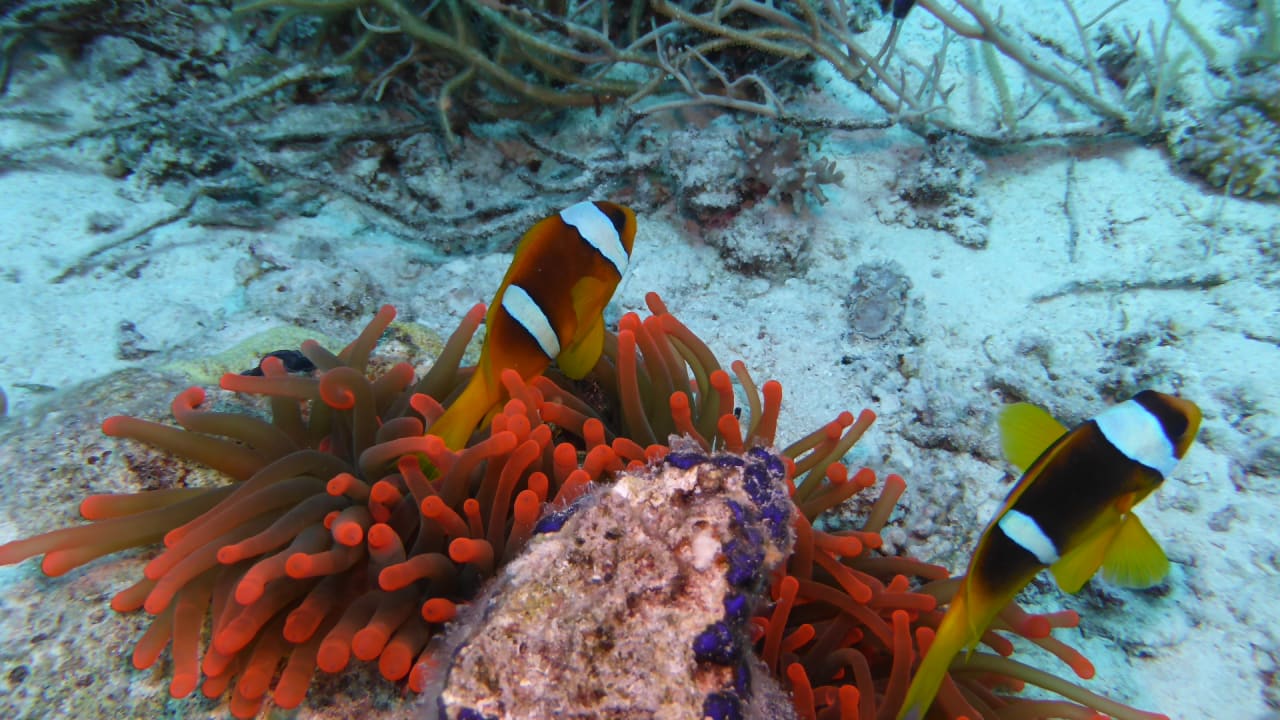 Strand Casa Mare Resort