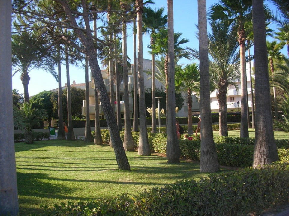 Blick vom Strandweg auf unseren Appartementblock Hipotels Mediterraneo Club