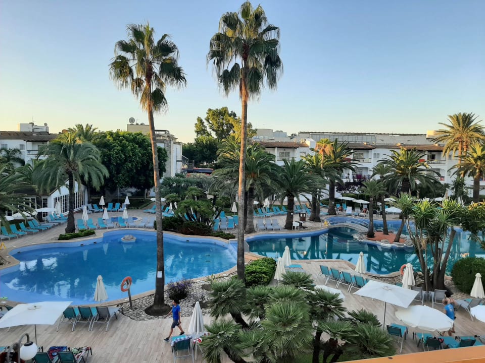 Pool Alcudia Garden Aparthotel