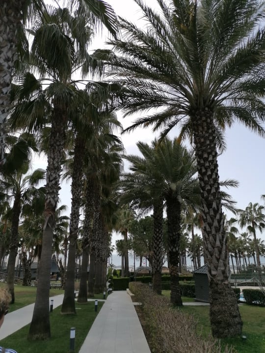 Gartenanlage Hotel Miramare Beach