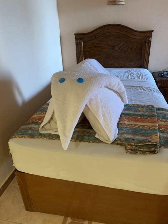 Zimmer Shams Alam Beach Resort