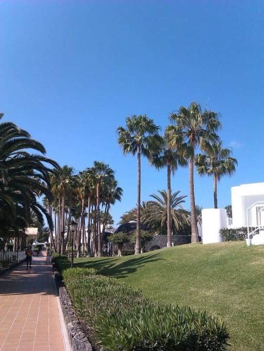 Gartenanlage Hotel Riu Paraiso Lanzarote