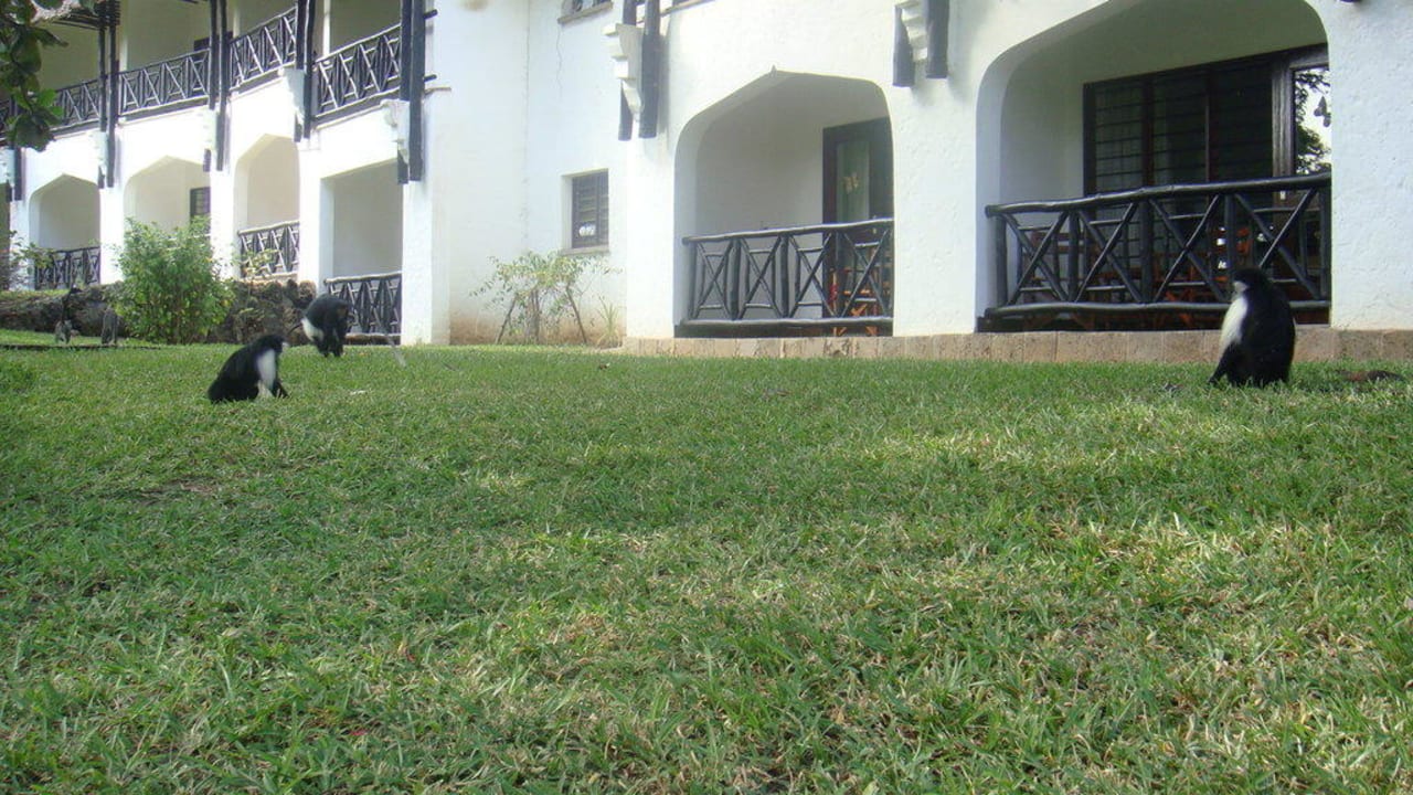 Сад Hotel Papillon Lagoon Reef