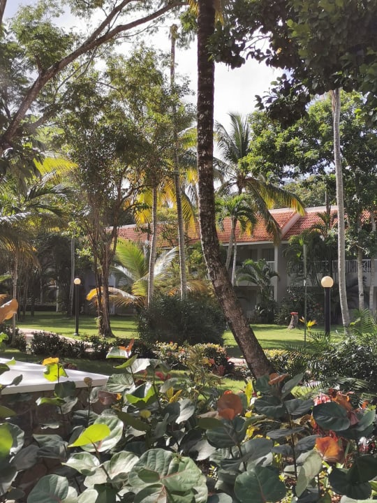 Gartenanlage Wyndham Alltra Samana