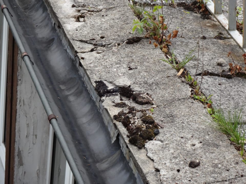 Blick aus dem Fenster auf Terrassendach  Hotel Waldgut