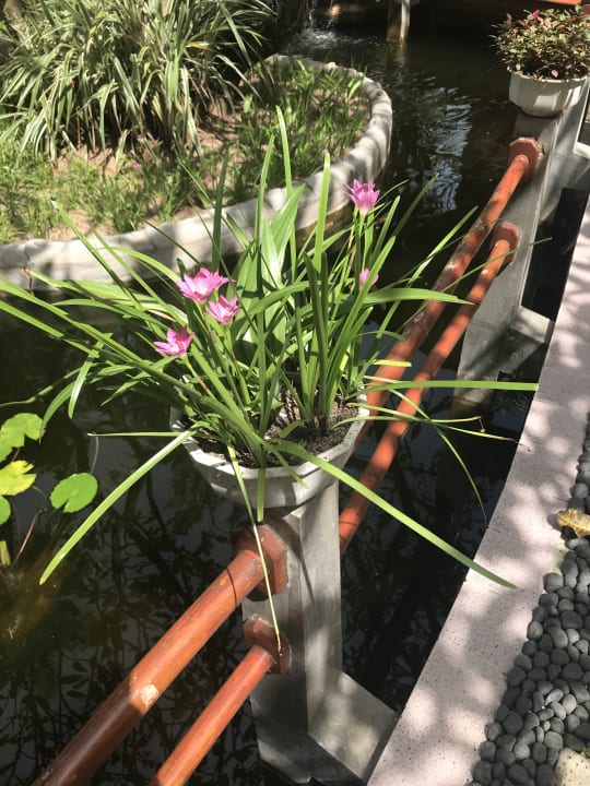 Sport & Freizeit Villa Park Sun Island