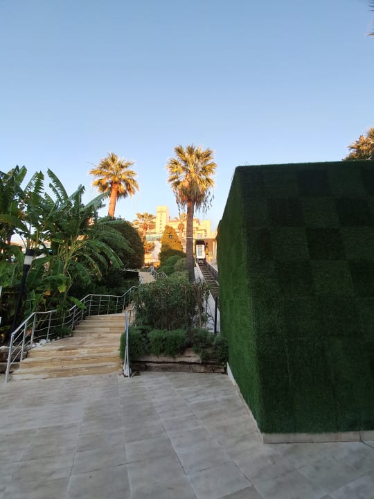 Gartenanlage Side Star Elegance