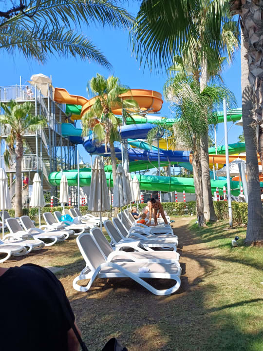 Pool Belek Beach Resort Hotel