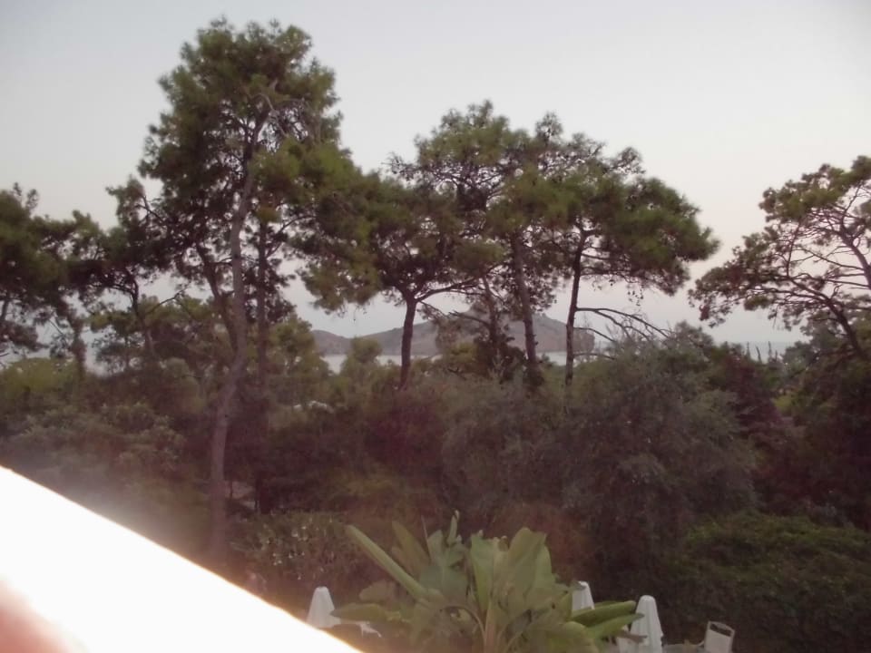 Ausblick TUI MAGIC LIFE Sarigerme
