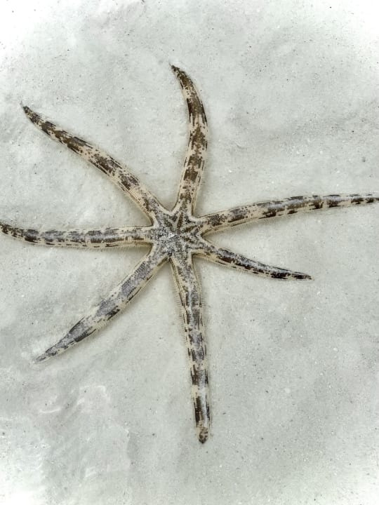 Strand Royal Zanzibar Beach Resort