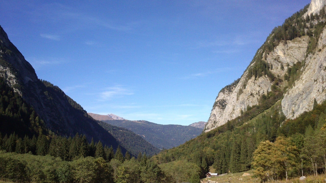 Untere Wolayeralm Bio - & Kinderbauernhof Fritzer