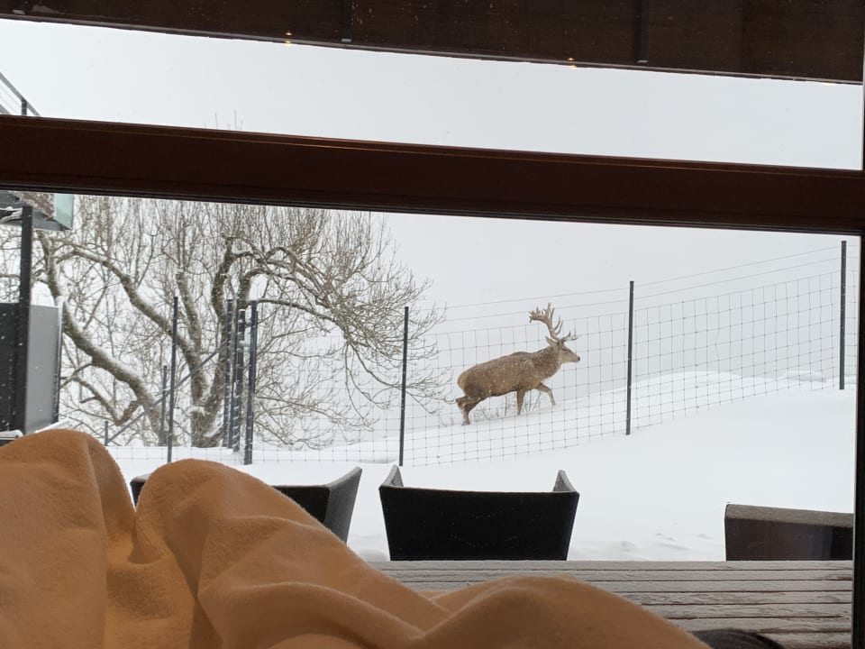 Sonstiges Bergkristall - Mein Resort im Allgäu