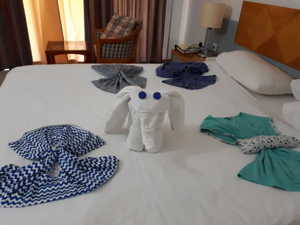 Zimmer Asteria Collection Side