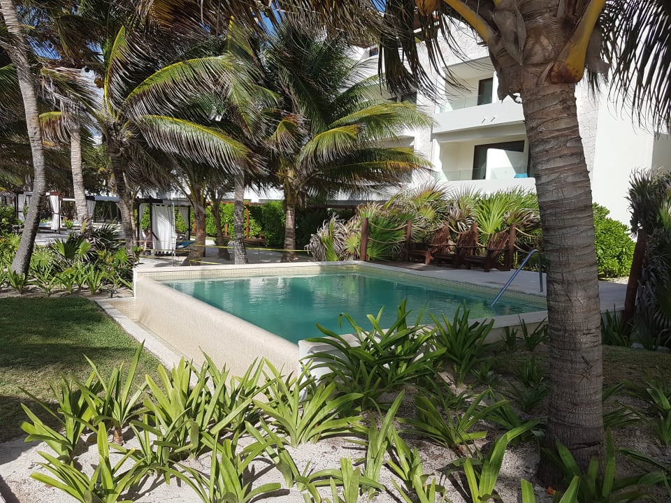 Pool Akumal Bay Beach & Wellness Resort