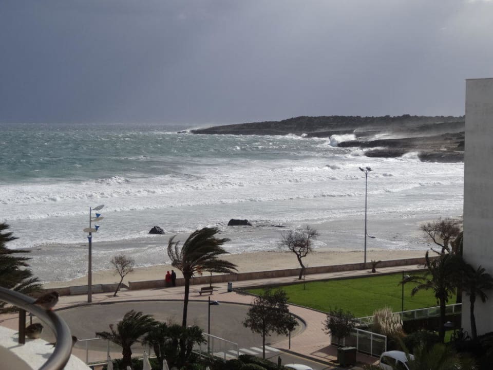 Sturm Hipotels Hipocampo Playa