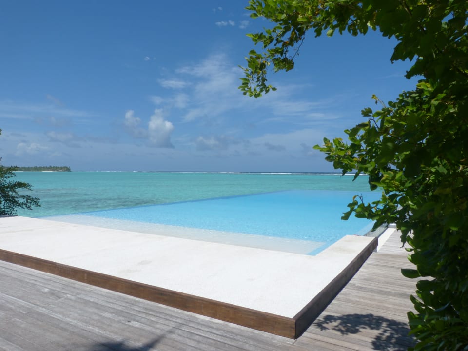 Pool Summer Island Maldives