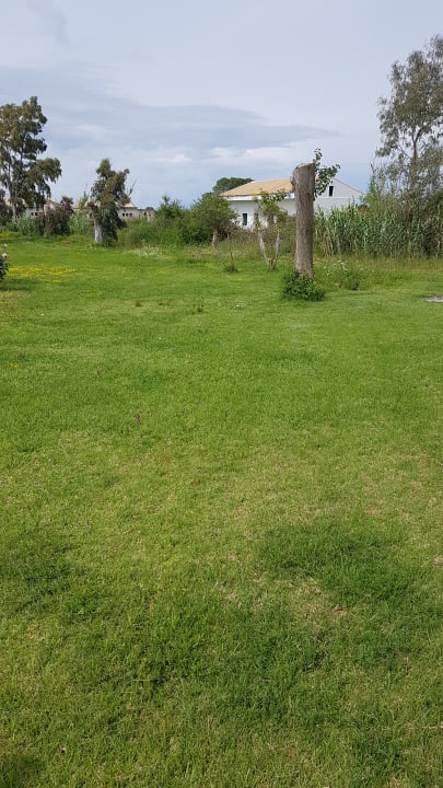 Gartenanlage Sandy Beach Resort