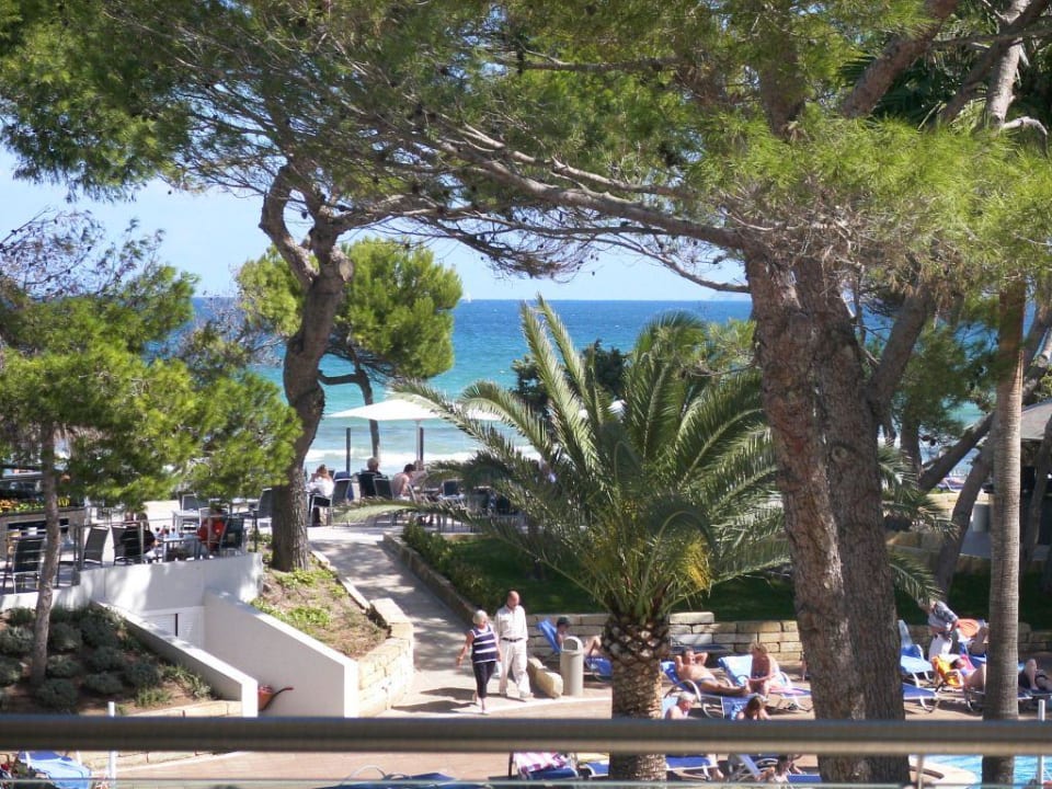 Blick vom Balkon Iberostar Selection Playa de Muro Village