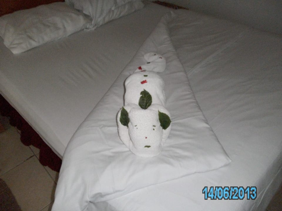 Handtuch-Hund Ghazala Beach