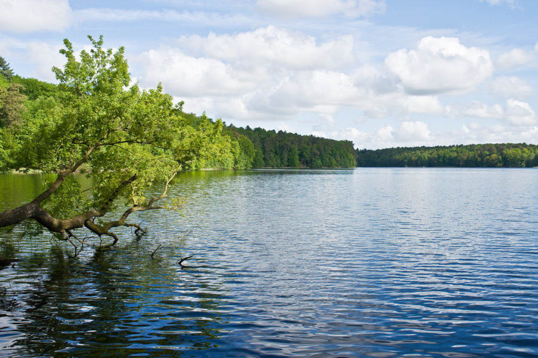 Drüsen See Hotel Quellenhof