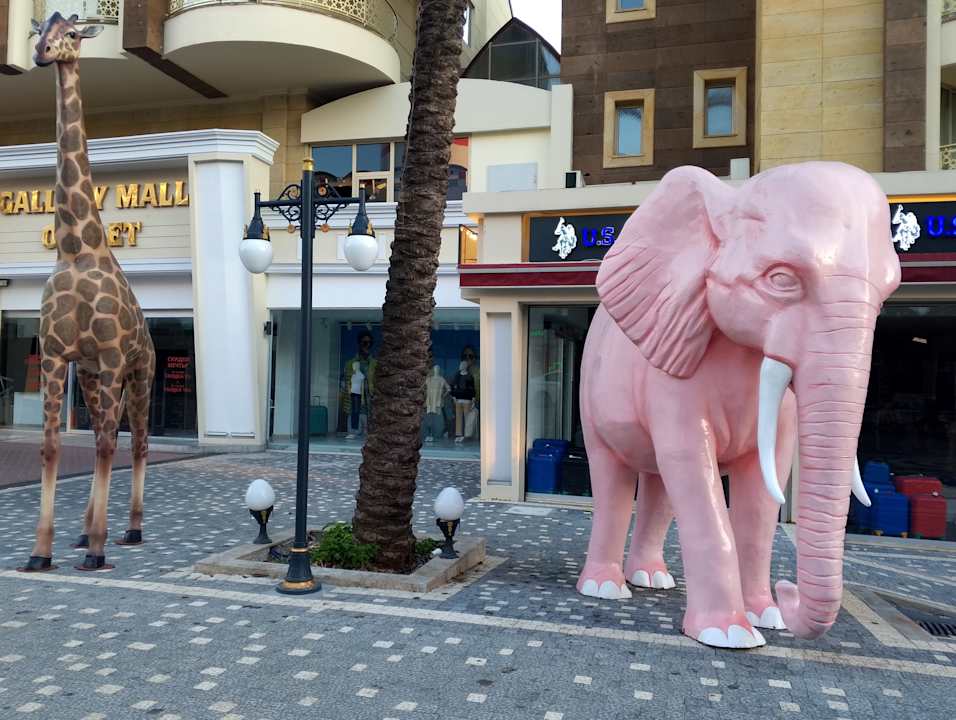 Sport & Freizeit The Nix Hotel Kemer