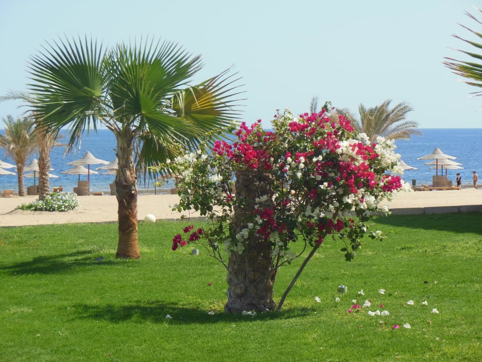 Strand Three Corners Sea Beach Resort