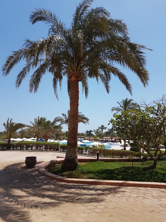 Gartenanlage Pharaoh Azur Resort