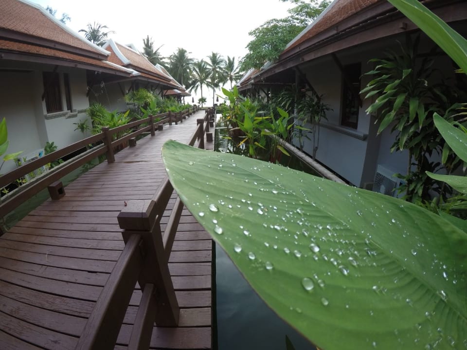 Sonstiges Khaolak Laguna Resort