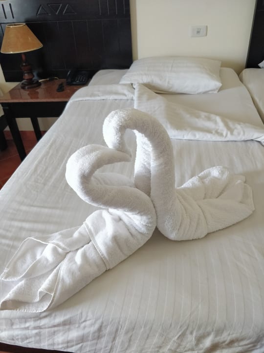 Zimmer Three Corners Sea Beach Resort